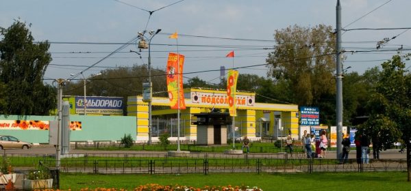 Система видеонаблюдения ISS: вор задержан!